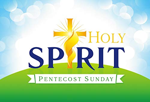 OERJU 12x8ft Pentecost Sunday Backdrop - Holy Flame & Holy Spirit Crucifix Halos Photography Background for Christian Baptism, Church Events & Religious Decor - Perfect for Worship Services, Bible Study & Spiritual Gatherings