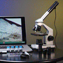 Explore One 40x 1024x Magnification Microscope - High Power Digital Microscope for Science, Biology & Hobbyists - Perfect for Lab Research, Classroom Learning & Home Exploration