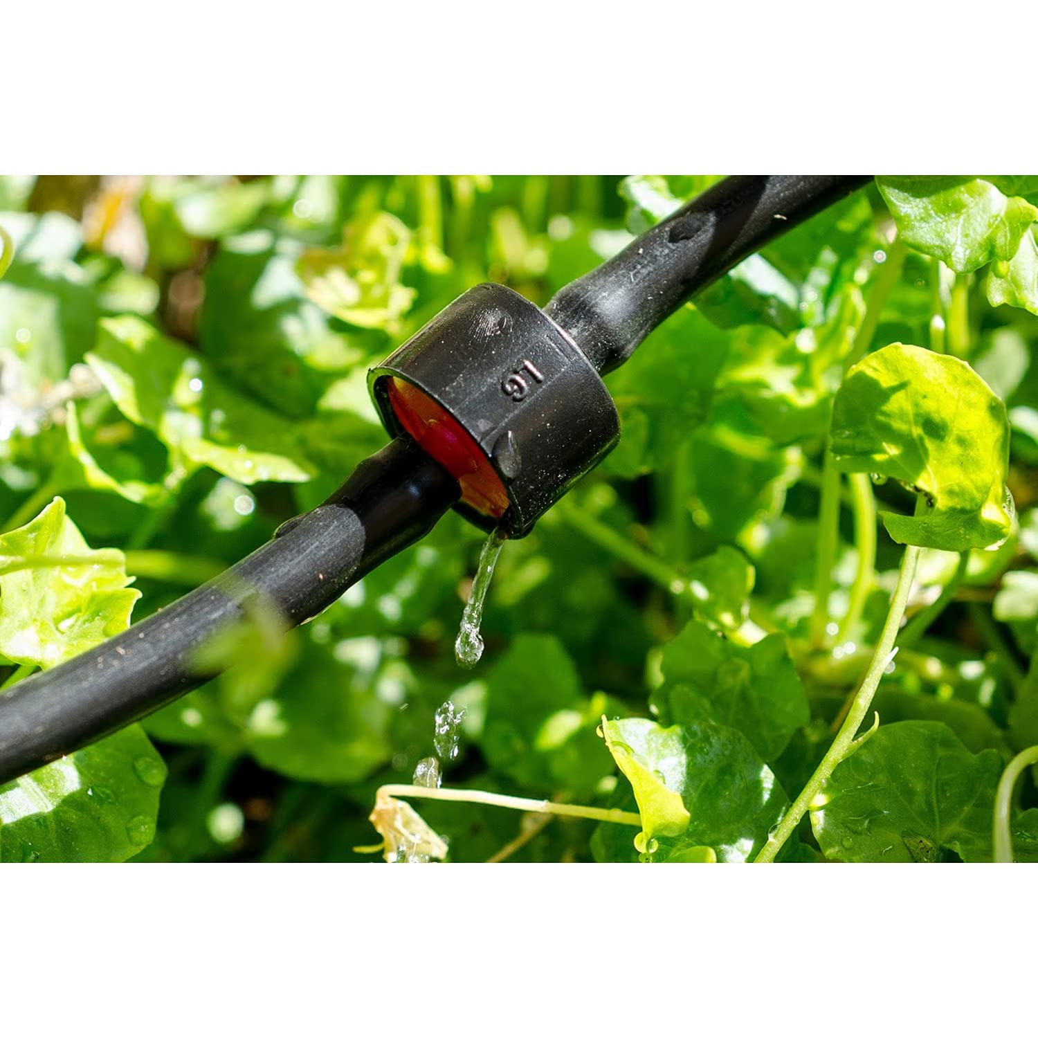 Genesis Greenhouse Dripper Kit - Automatic Plant Watering System for Indoor/Outdoor Gardens, Hydroponics & Greenhouses | Durable Irrigation Equipment for Vegetables, Flowers & Herbs | Perfect for Home Gardening & Commercial Use