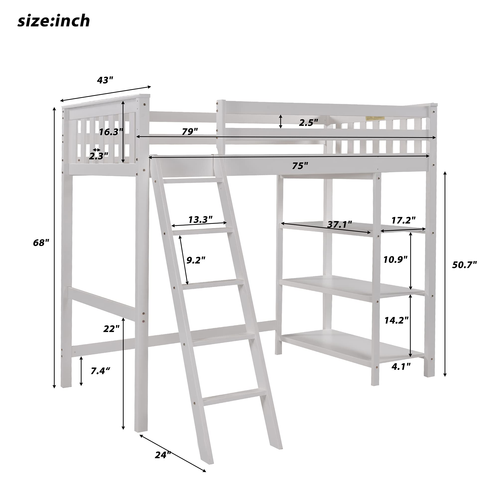 LZ LEISURE ZONE Twin Loft Bed with Storage Shelves & Ladder - Solid Wood Twin Size Loft Bed Frame, No Box Spring Needed - Space-Saving Kids & Teens Bedroom Furniture (White)