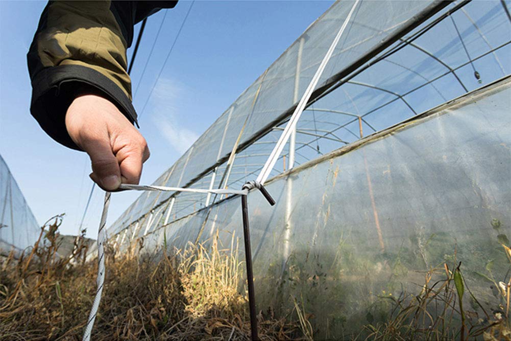 984 ft Wind Straps for Greenhouse - Heavy Duty Plastic Hold Down Straps, Weather-Resistant Greenhouse Cover Ties, Woven Cord Strapping for Securing Tarps & Plastic Film | Perfect for Garden Greenhouses, Hoop Houses & Plant Protection