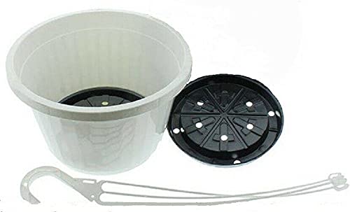CarteRE 10 Inch Hanging Baskets - Set of 2 Hanging Flower Pots with Stand for Indoor Outdoor Plants, Garden Decor, Patio, Balcony, and Home Decoration
