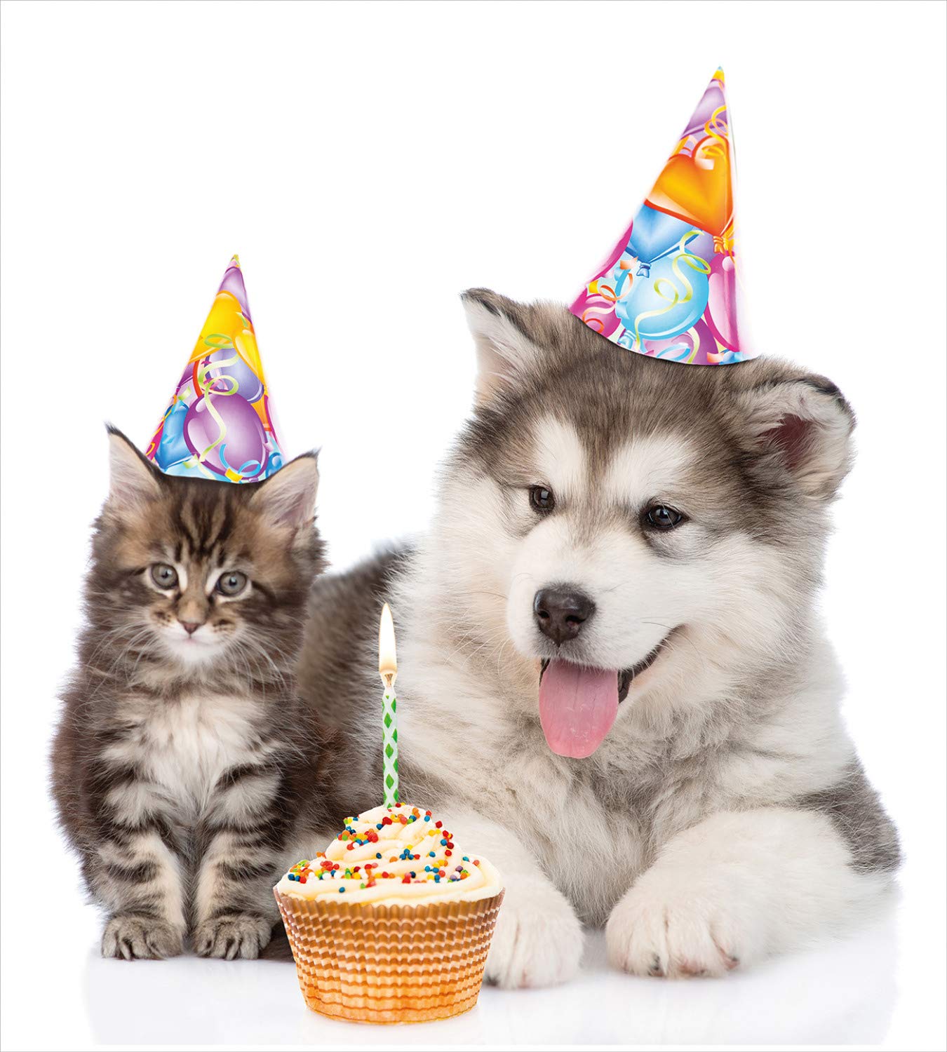 Ambesonne Birthday Duvet Cover Set - Dog & Cat Pet Themed with Party Hats & Cupcakes, 3-Piece California King Bedding Set with 2 Pillow Shams in White & Brown | Perfect for Pet Lovers' Birthday Decor & Cozy Bedroom Upgrade