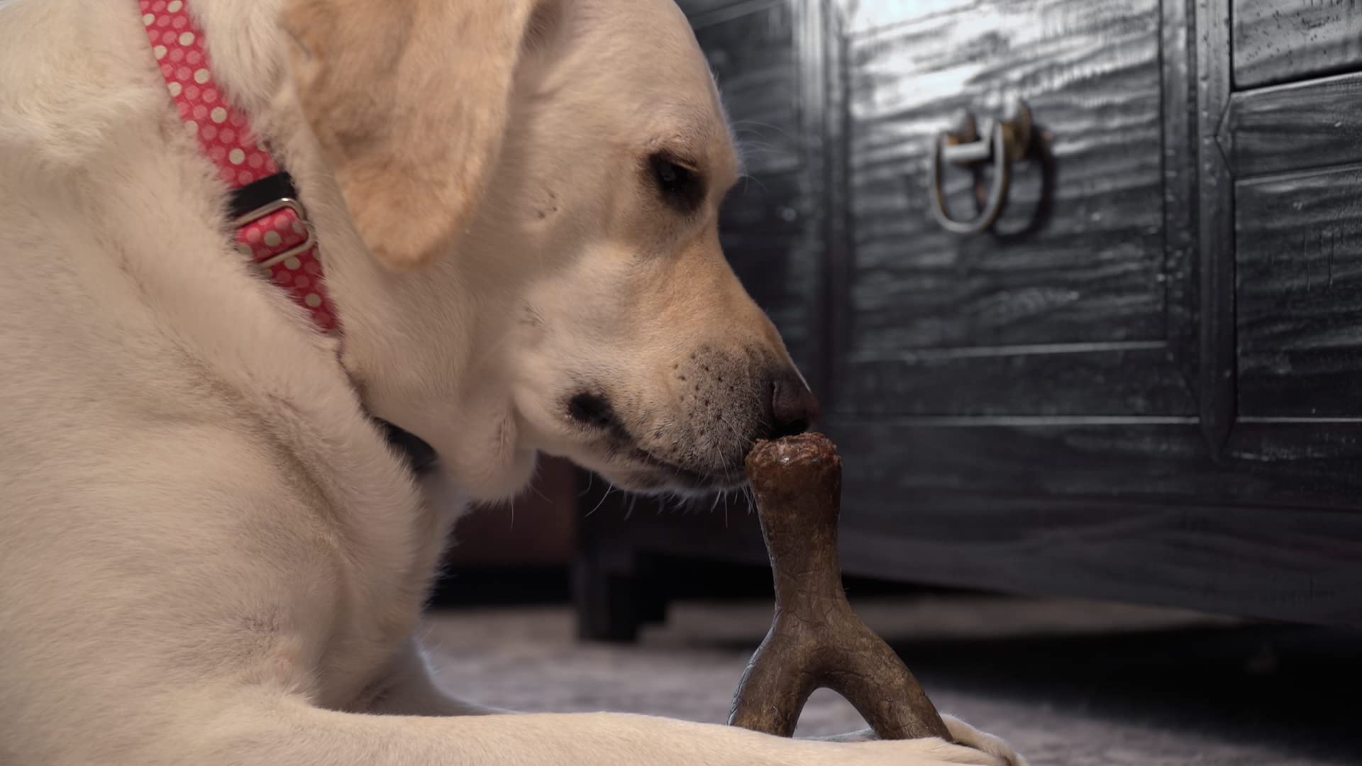 Hero Bonetics Wishbone Dog Chew Toy - Natural Wood Scent Puppy Bones for Large Dogs Up to 65 lbs - Durable Teething Treat for Aggressive Chewers, Perfect for Crate Training & Anxiety Relief