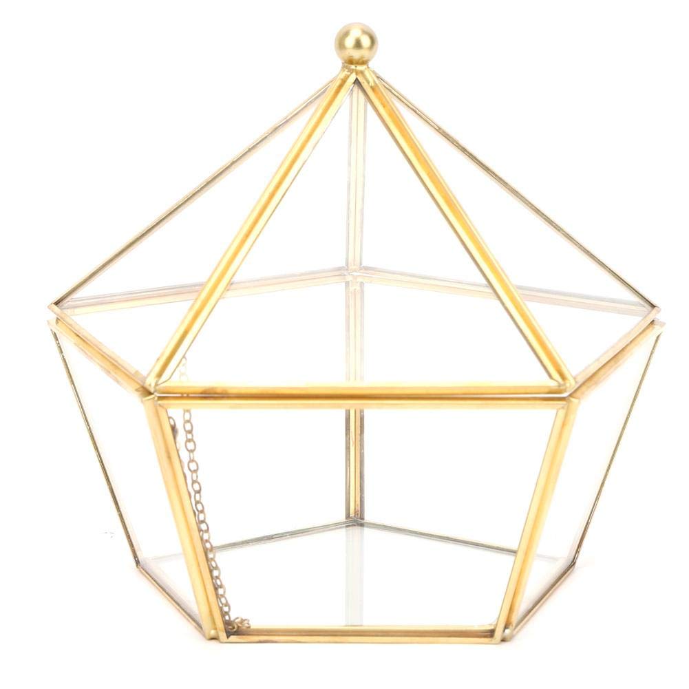 TOPINCN Glass Terrarium - Unique Geometric Succulent Planter with Dust Cover, Mini Indoor Greenhouse for Home & Office Decor | Perfect for Succulents, Air Plants & Artificial Flowers