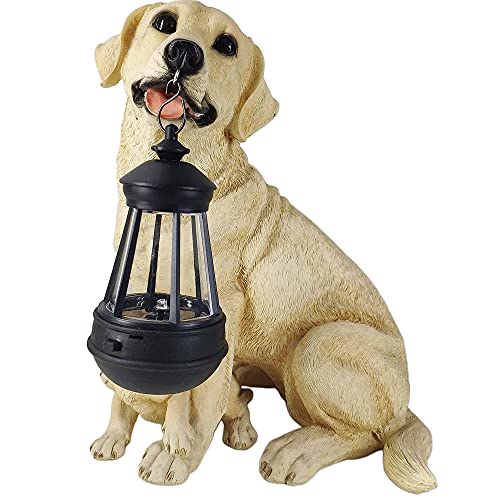 Labrador a