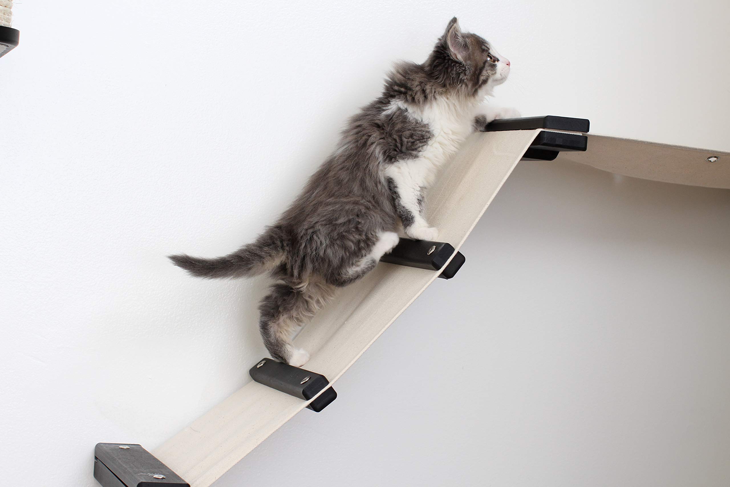 Multi-Level Wall Mounted Cat Climbing Furniture Set - Scratch Post, Hammock Lounge & Play Shelves for Indoor Cats | Space-Saving Cat Activity Center for Small Apartments & Pet-Friendly Homes