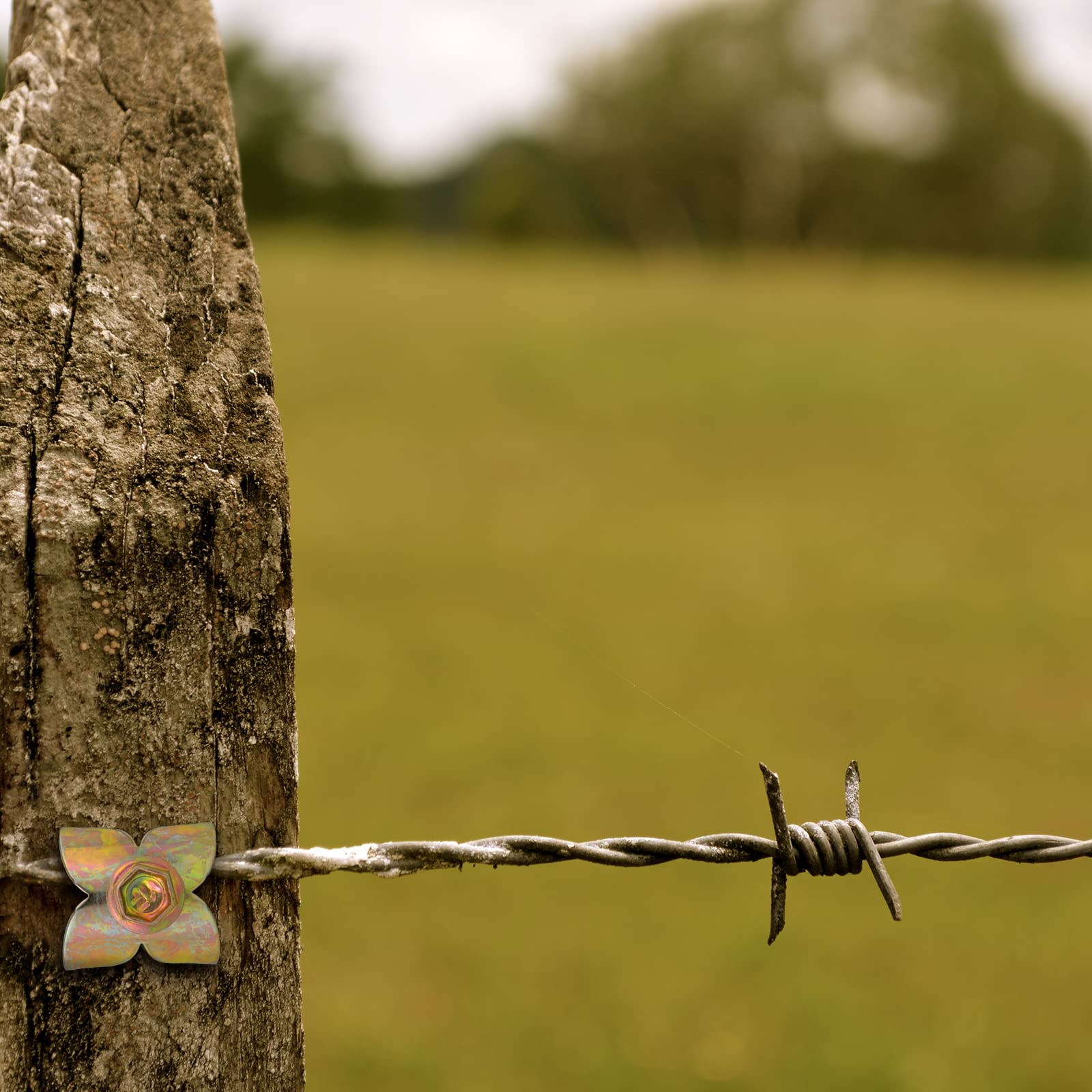 Premium Steel Wire Fencing Staples for Softwoods - Reusable Fence Staple Fasteners with Wire Fixer - Ideal for Wire Mesh & Woven Fencing (Patent Pending) - Perfect for Farm Fencing, Garden Enclosures, and DIY Wood Projects
