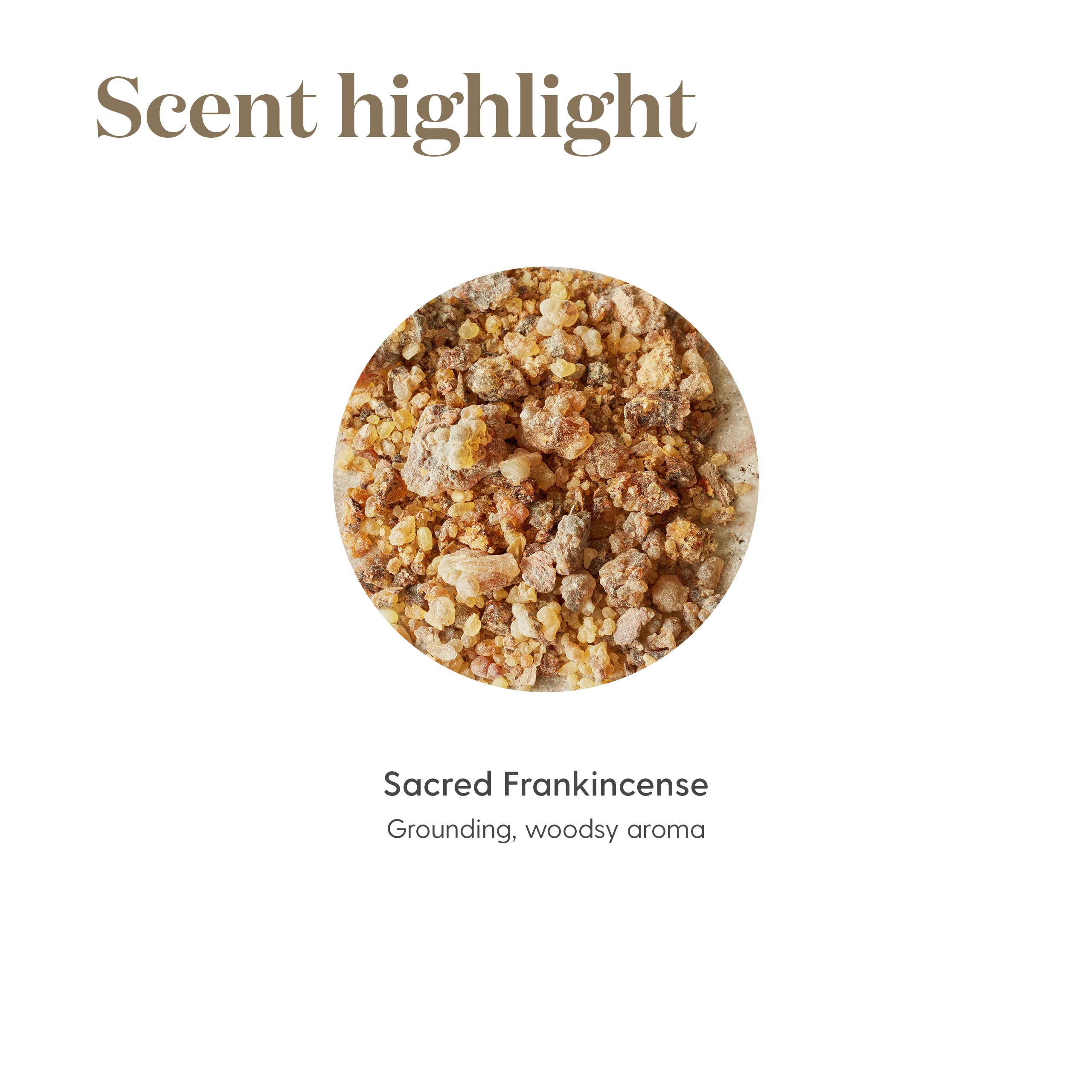 Young Living Sacred Frankincense Essential Oil 15ml - Pure Therapeutic Grade, Woodsy Aroma for Relaxation & Meditation, Promotes Skin Health & Spiritual Wellness | Perfect for Yoga, Prayer, Aromatherapy & Skincare Routine