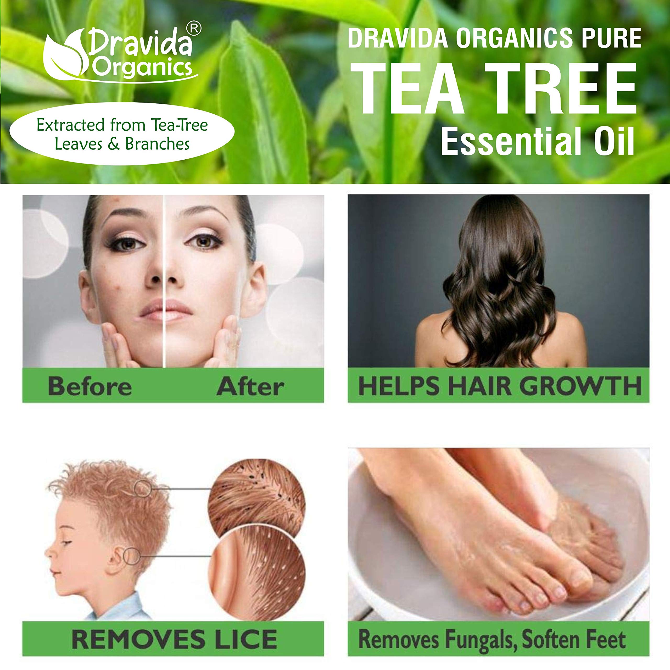 Dravida Organics Tea Tree Essential Oil - 100% Pure & Organic for Aromatherapy, Skin Care, Hair Growth - Natural Remedy for Acne, Dandruff, Stress Relief - 15ml Bottle - Perfect for Diffusers, Massage, DIY Beauty Products
