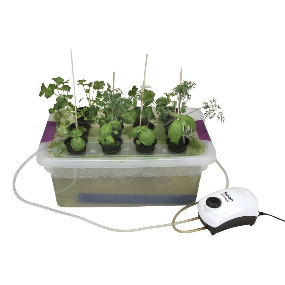 Smart Indoor Hydroponic Garden System - Visual Desktop Planter with Root Growth Tracking for Home, Office & Classroom | Grow Fresh Herbs, Veggies & Microgreens Year-Round