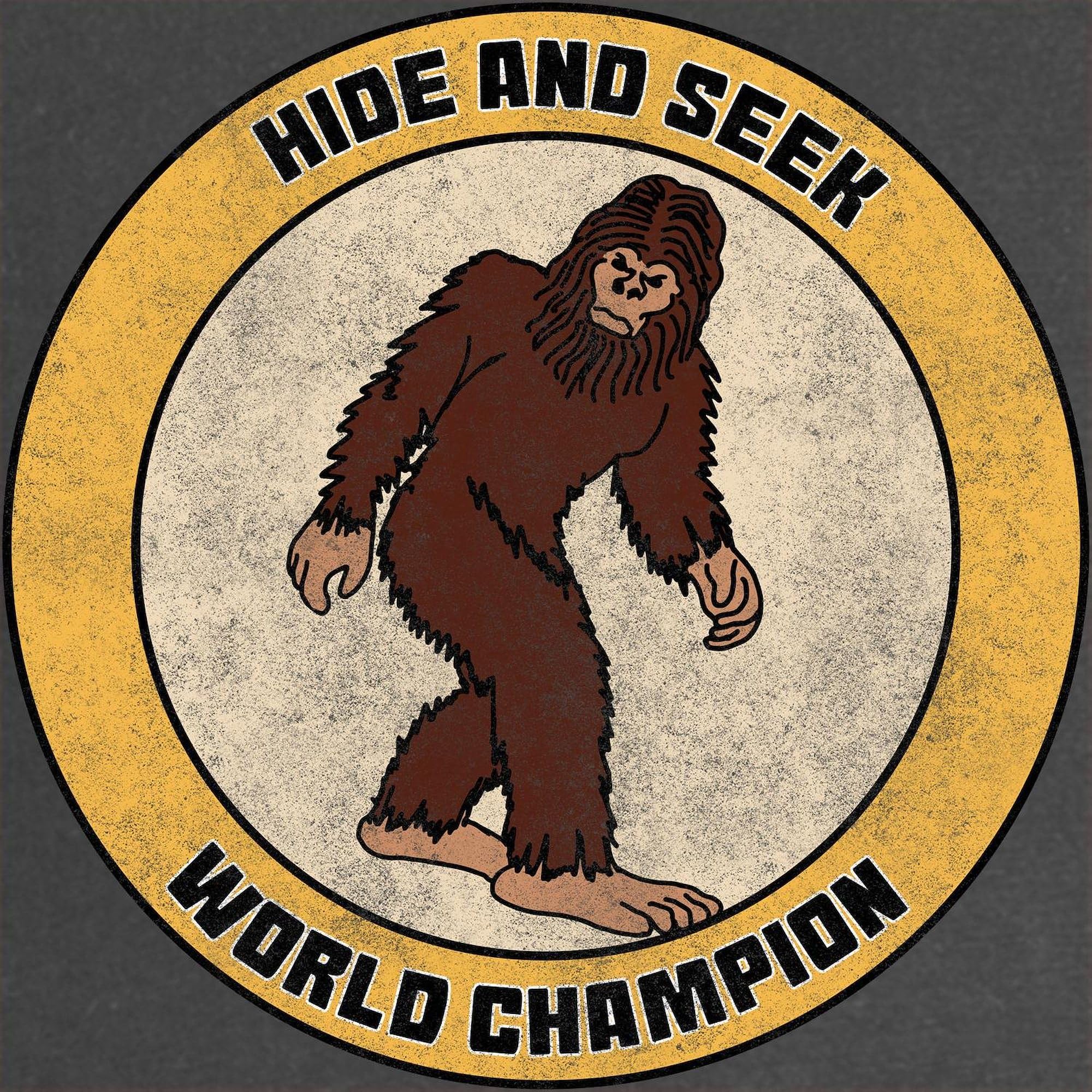 Hide and Seek World Champion Maternity T-Shirt - Women's Dark Ruched Side Pregnancy Tee for Casual Wear & Baby Showers