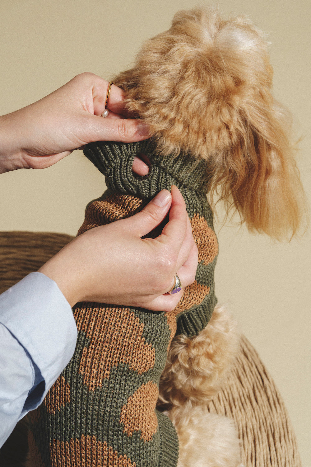 Dog Cardigan - Soft Pony Cotton Knit Sweater for Small Dogs - Cozy Winter Outfit for Indoor & Outdoor Use