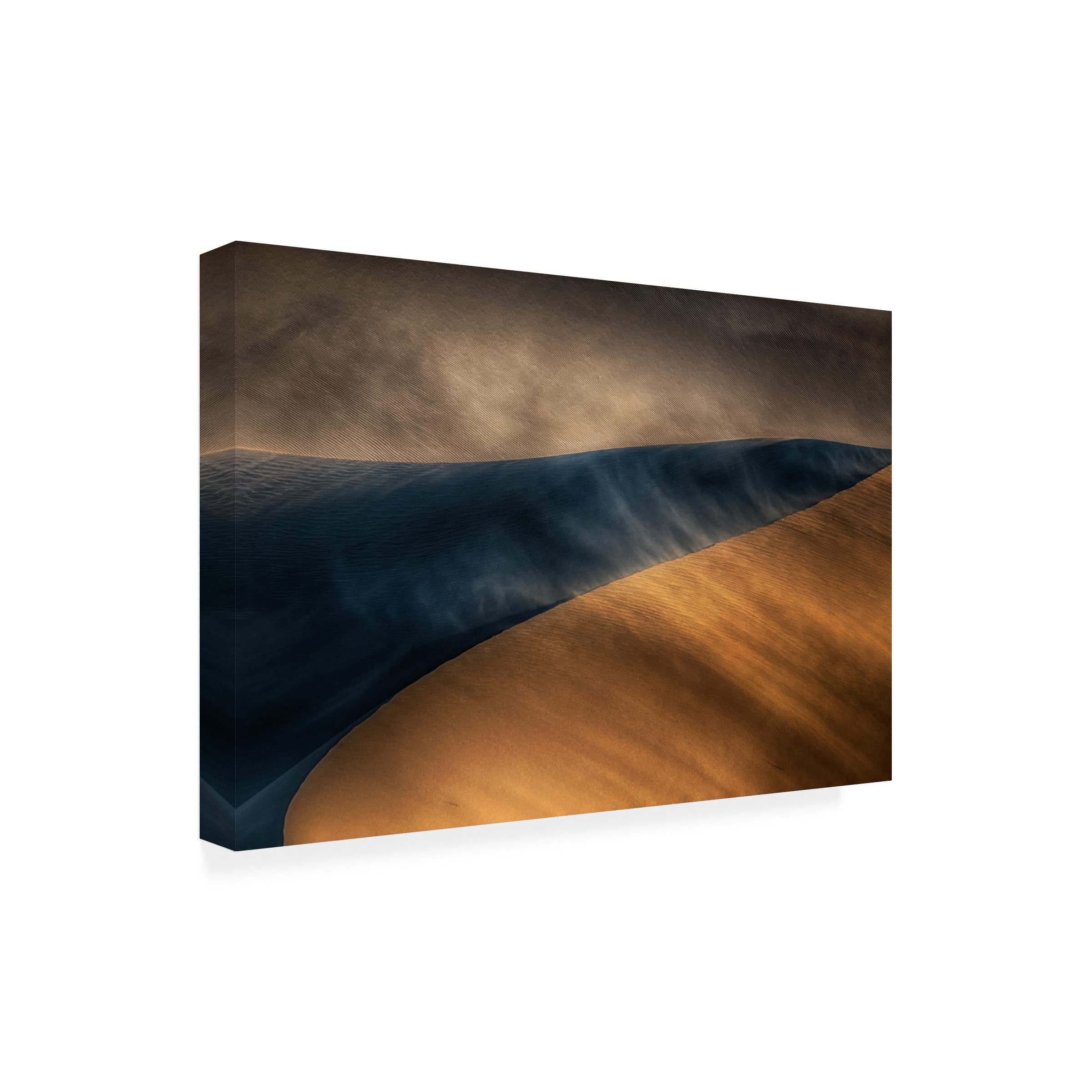 Trademark Fine Art 'Confrontation' Canvas Wall Art by Babak Mehrafshar - Modern Abstract Painting for Living Room, Bedroom & Office Decor
