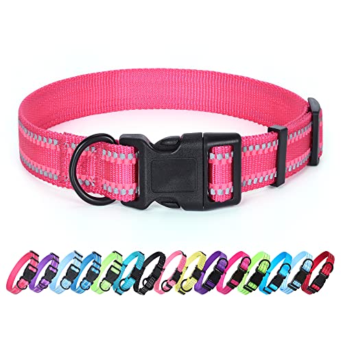 Self-Luminescence Pink