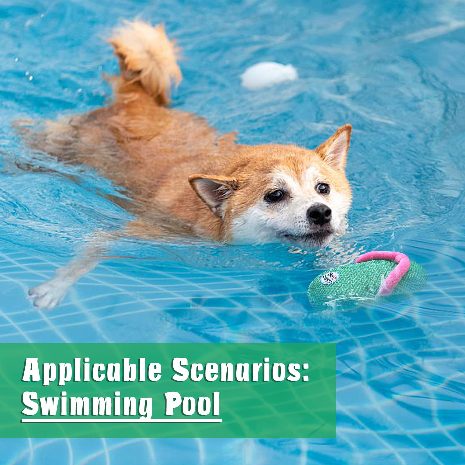 Durable Squeaky Dog Toys for Small & Medium Dogs - Floating Water & Pool Toys - Fun Chewable Pet Gifts for Playtime, Training & Outdoor Activities