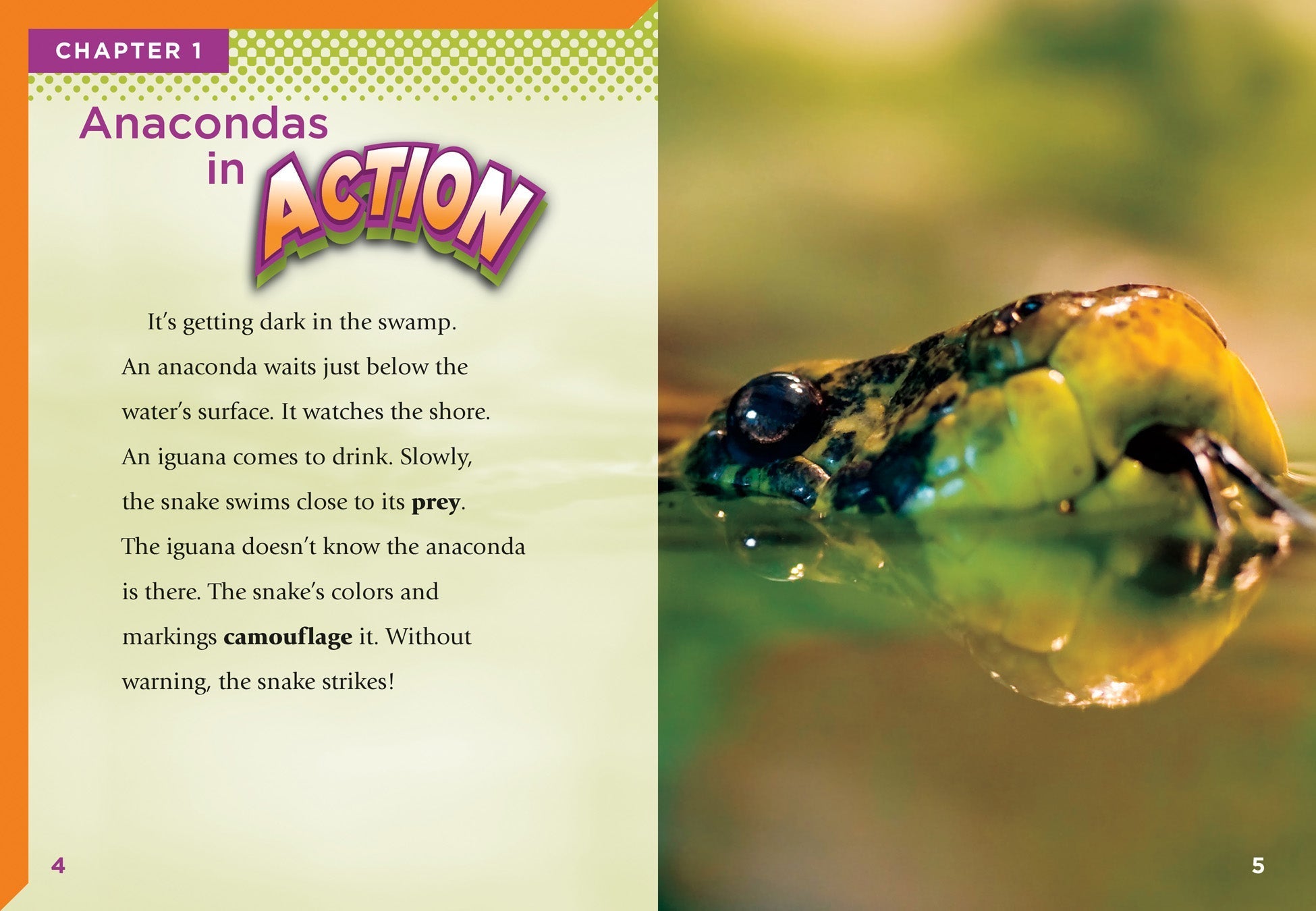 Anacondas Book - ISBN 9781623102708 | Fascinating Facts & Photos for Reptile Lovers - Perfect for Kids' Science Projects & Animal Research