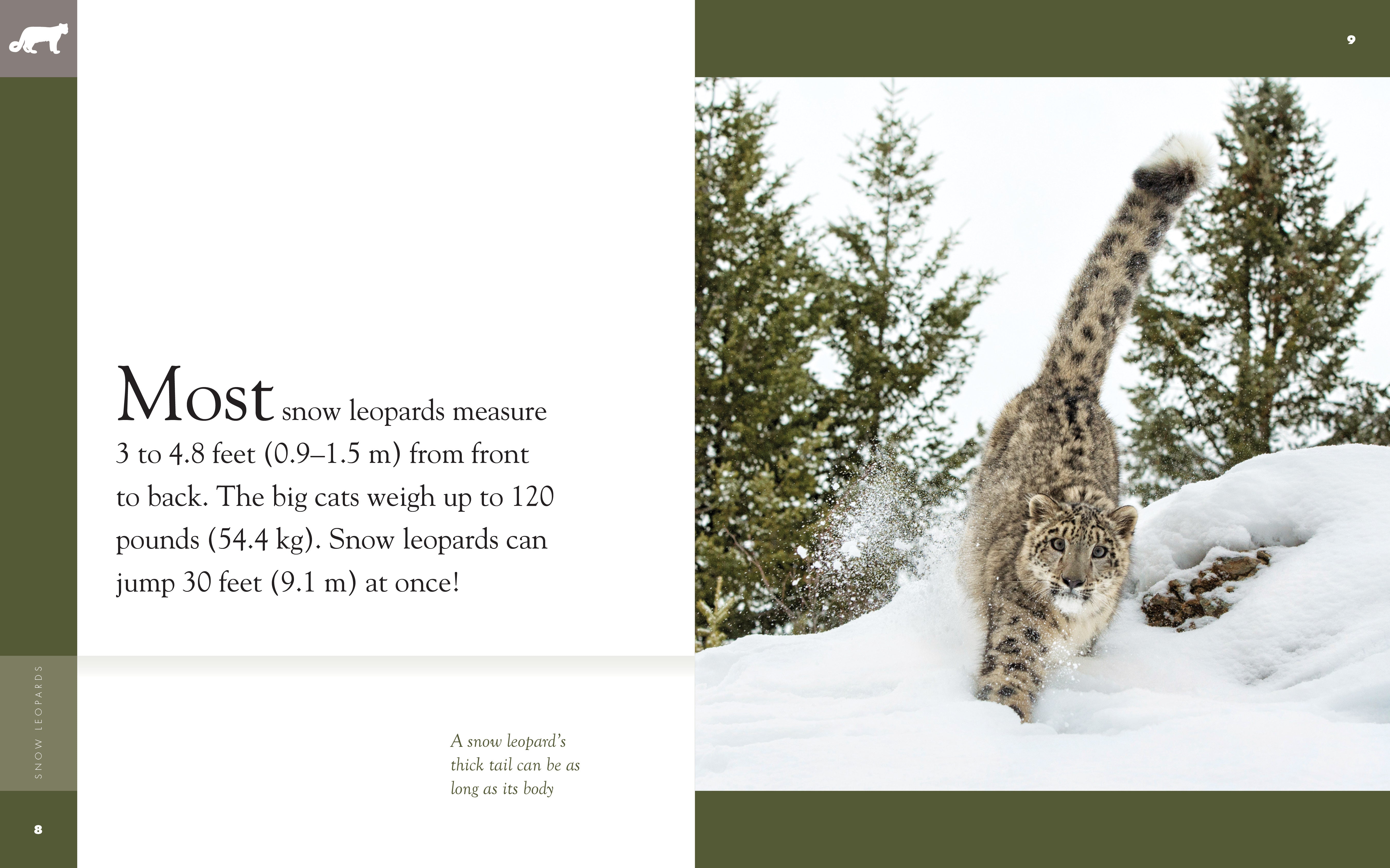 Amazing Animals (2014): Snow Leopards - Wildlife Documentary Film for Nature Lovers & Educational Use in Schools