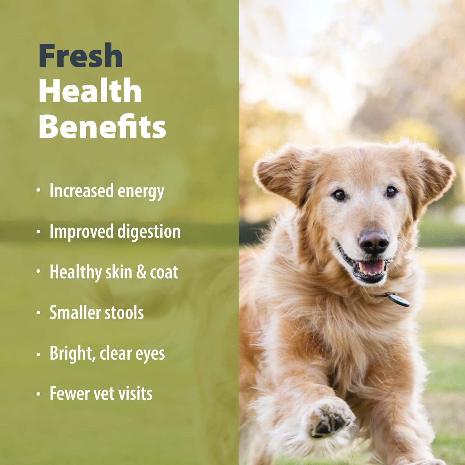 JustFoodForDogs Pantry Fresh Wet Dog Food - Turkey & Whole Wheat Macaroni Recipe | Human-Grade Complete Meal or Topper | 12.5 oz (Pack of 12) | Perfect for Picky Eaters & Sensitive Stomachs