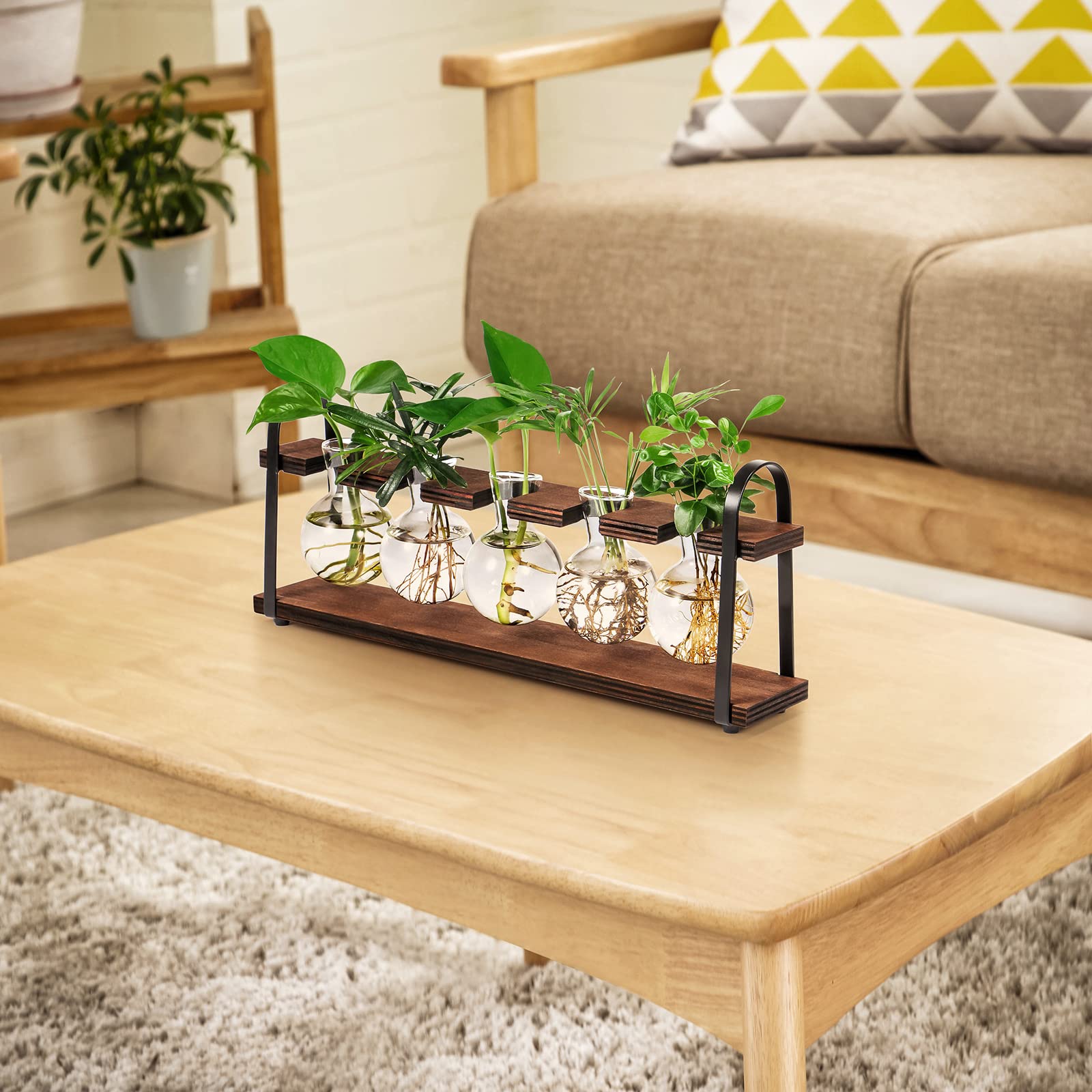 THYGIFTREE Plant Propagation Stations with Wooden Stand - Retro Glass Terrarium Bulb Vase for Indoor Hydroponic Flowers | Desktop Planter for Home Office Decor, Housewarming Gift for Plant Lovers (Perfect for Windowsills, Desks & Shelf Displays)