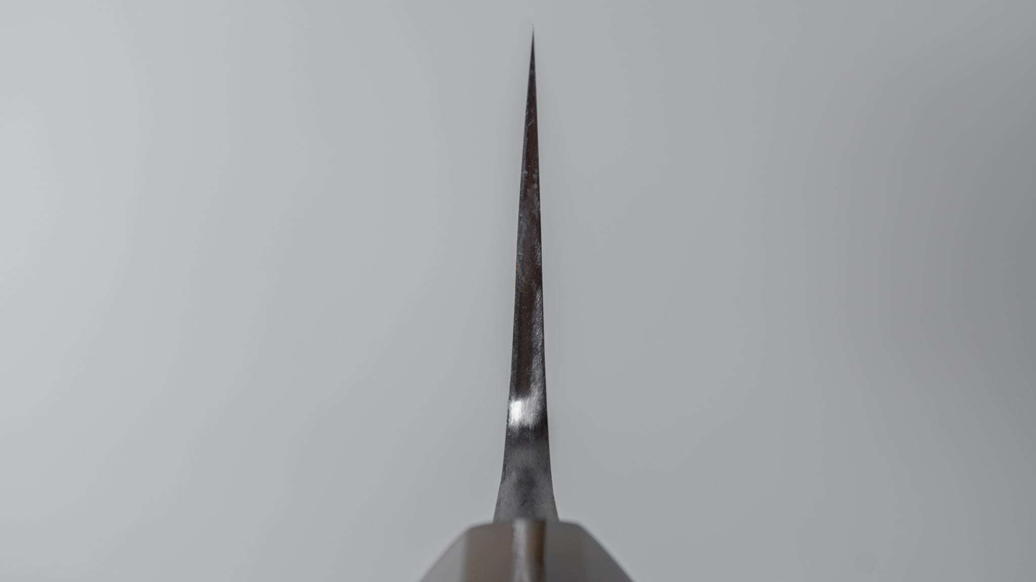 Premium Jiro Tsuchime Wa Gyuto 240mm Japanese Chef Knife - Taihei Tagayasan Handle (#304) - Perfect for Sushi, Meat Cutting & Professional Kitchen Use