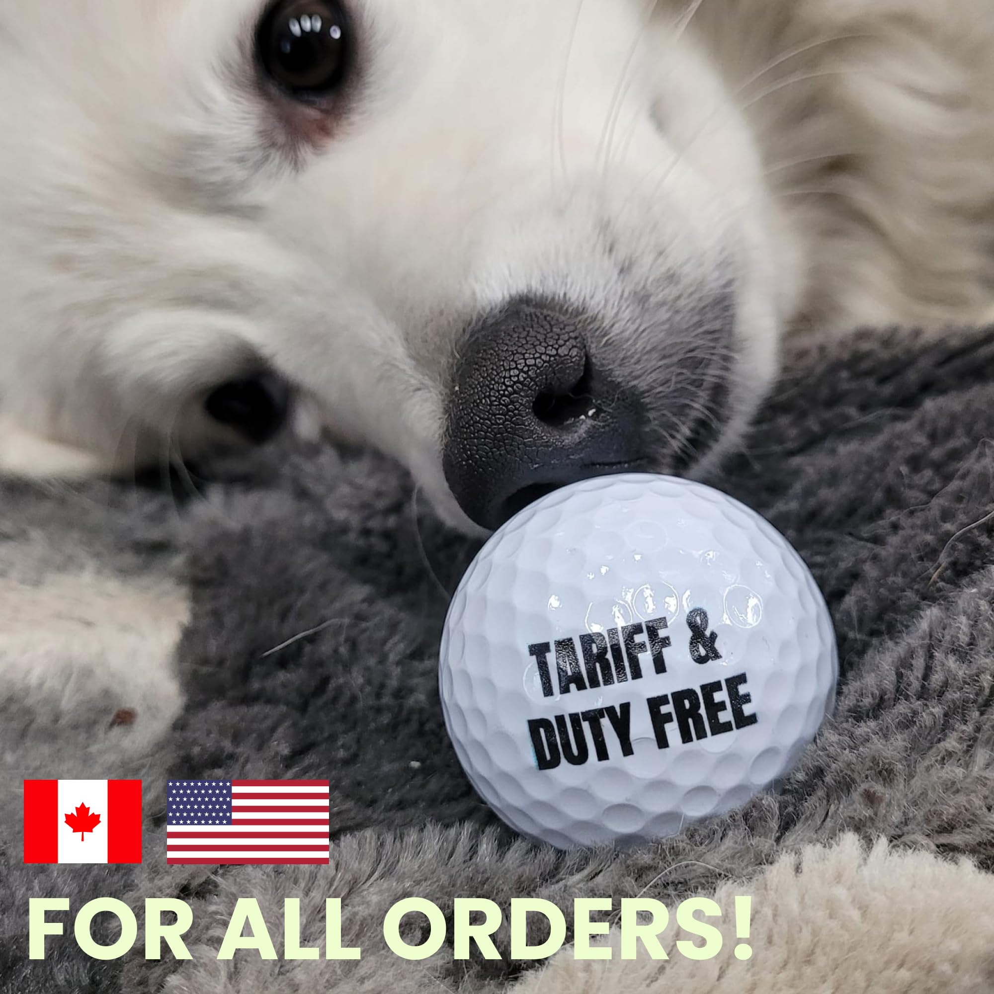 Custom Golf Balls with Logo, Photo or Text - Personalized Golf Balls for Men | Bulk 3, 12, 24, 96 Pack Sleeves | Great for Golf Tournaments, Corporate Gifts & Special Occasions