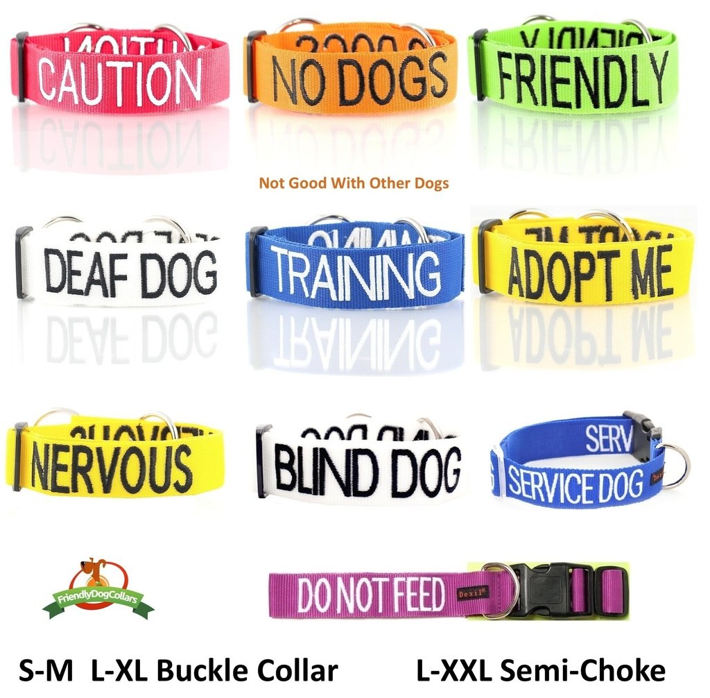 Service Dog Vest - Blue Non-Pull Padded Harness with D-Rings (Do Not Disturb/Dog Working) | Waterproof, Comfortable & Warning Design for Safety | Perfect for Therapy, Assistance & Public Outings (XS)