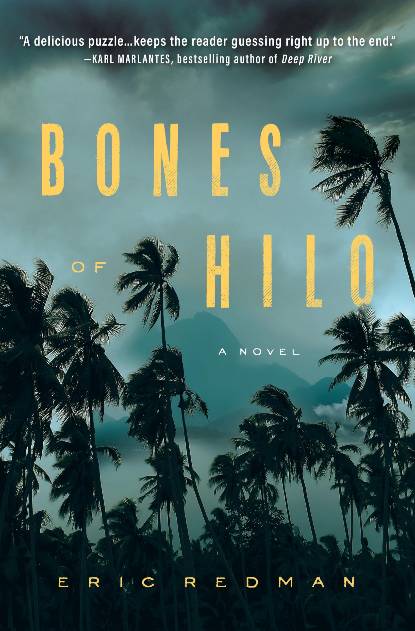 Bones of Hilo: A Gripping Mystery Novel - Perfect for Book Clubs & Beach Reading