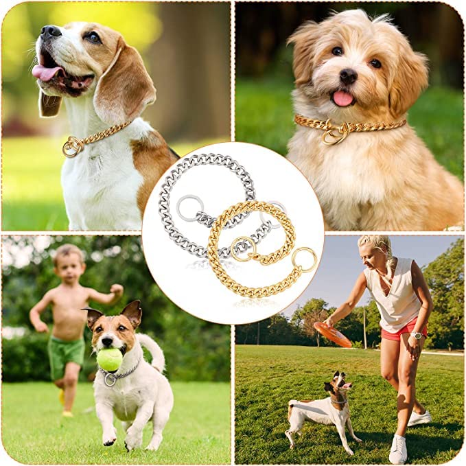 Woofy 2-Piece Gold & Silver Metal Dog Training Collar - Small Link Chain for Medium & Large Dogs (24 Inch) - Perfect for Obedience Training & Daily Walks