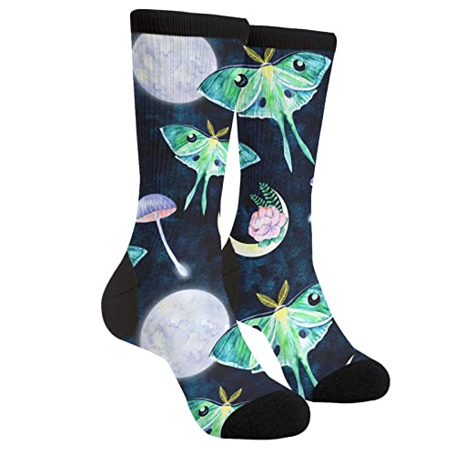 Green Luna Moth Black Blue
