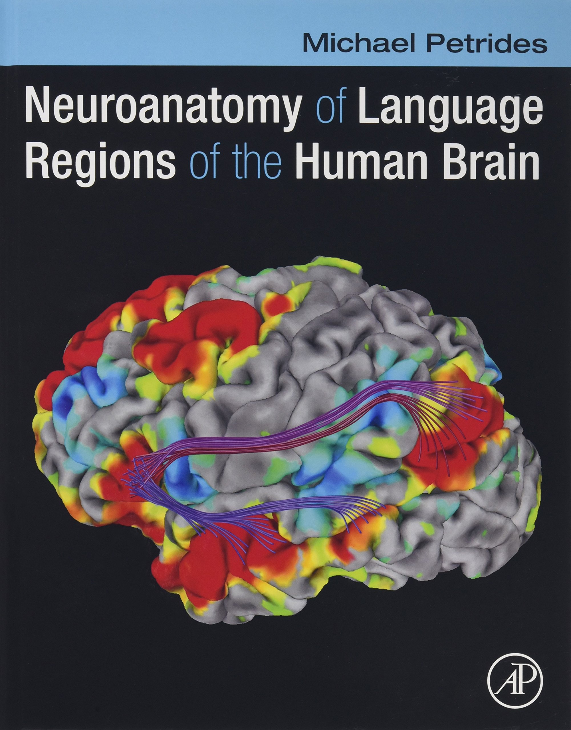 Neuroanatomy of Language Regions in the Human Brain - Study Guide for Neuroscience Students & Researchers | Brain Mapping & Cognitive Function Research