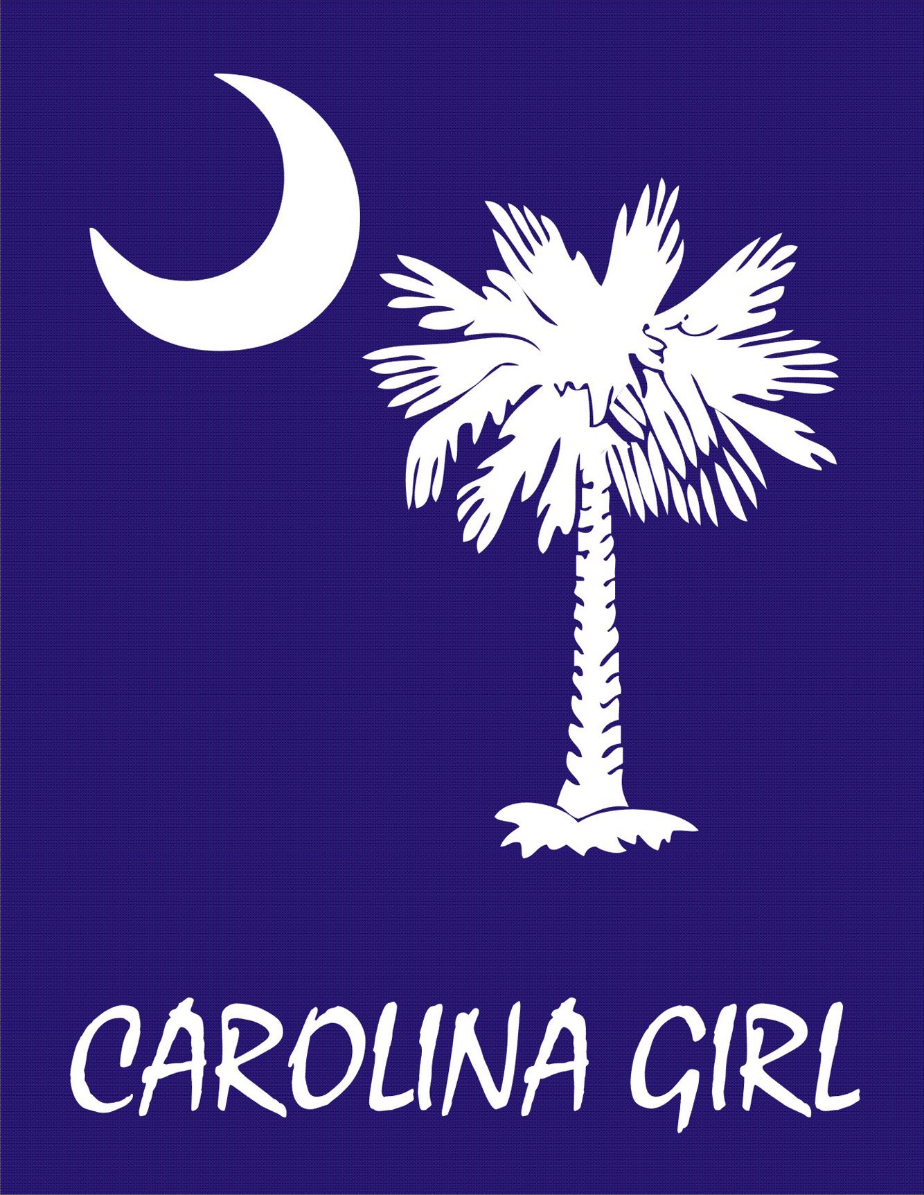 Cahoon's Closet Carolina Girl Palmetto & Moon Graphic T-Shirt - Soft Cotton Tee with Blue Background | Casual Wear, Beach Outfit, Southern Style Fashion