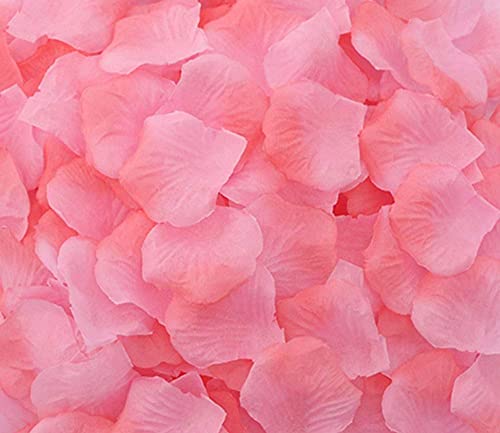 B-gradient Pink