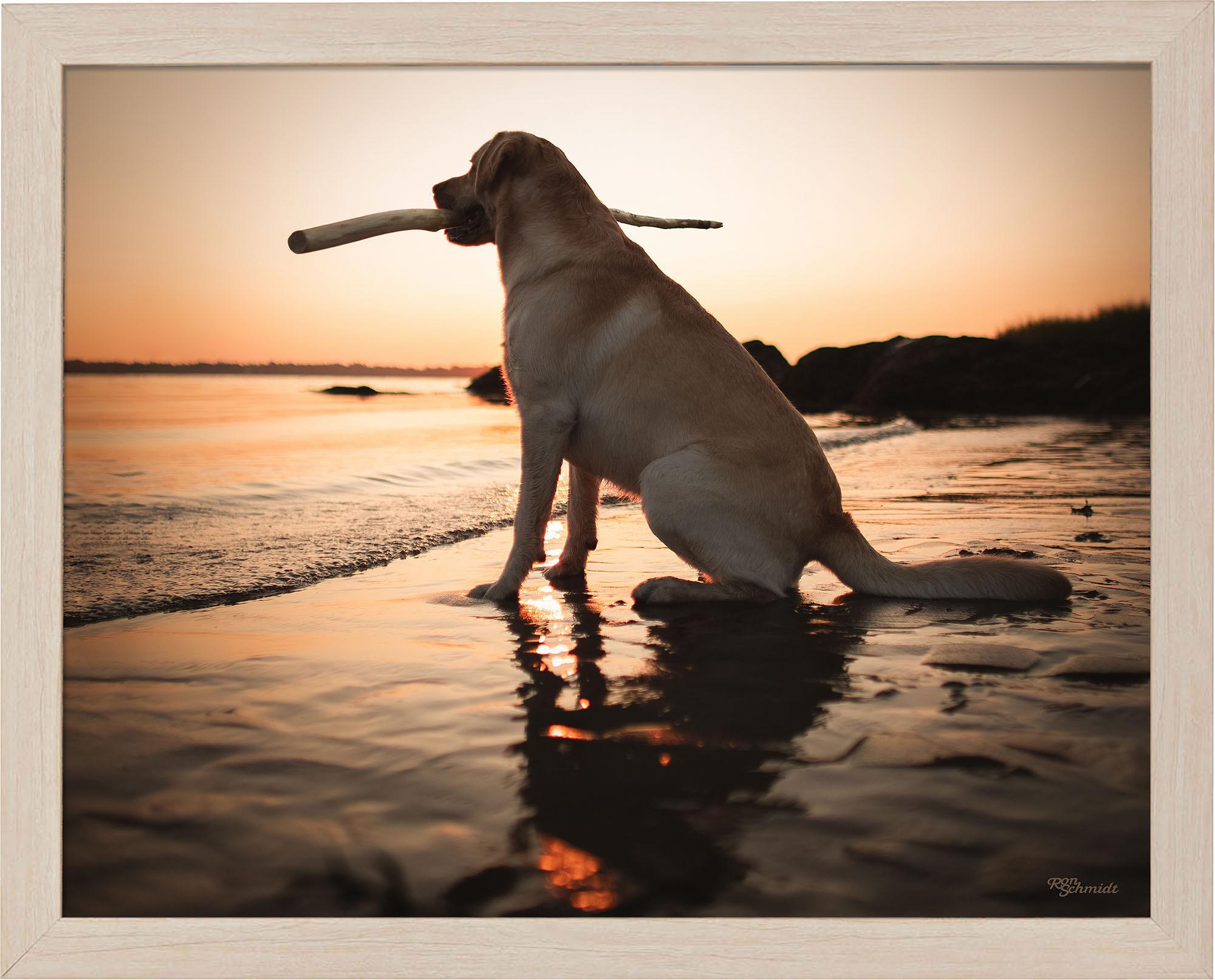 Dusk Art Prints - Stunning Sunset & Twilight Wall Decor for Living Room, Bedroom & Office | High-Quality Canvas & Framed Artwork