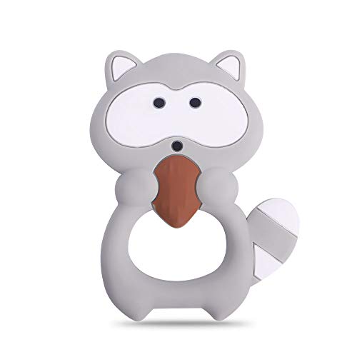 Raccoon