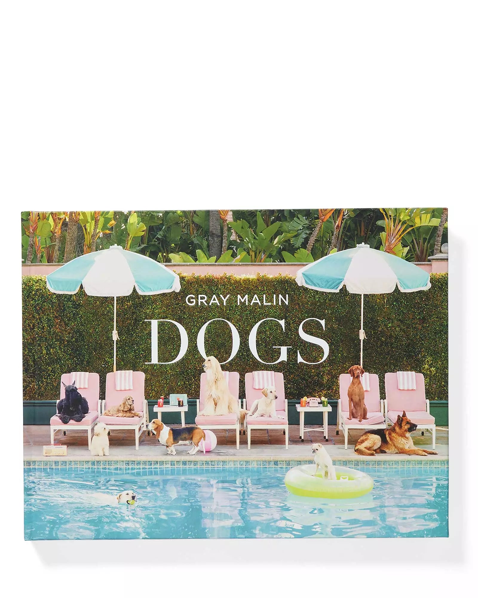 Gray Malin Dog Art Prints - Premium Canine Photography Wall Decor for Pet Lovers | Perfect for Living Room, Bedroom & Office