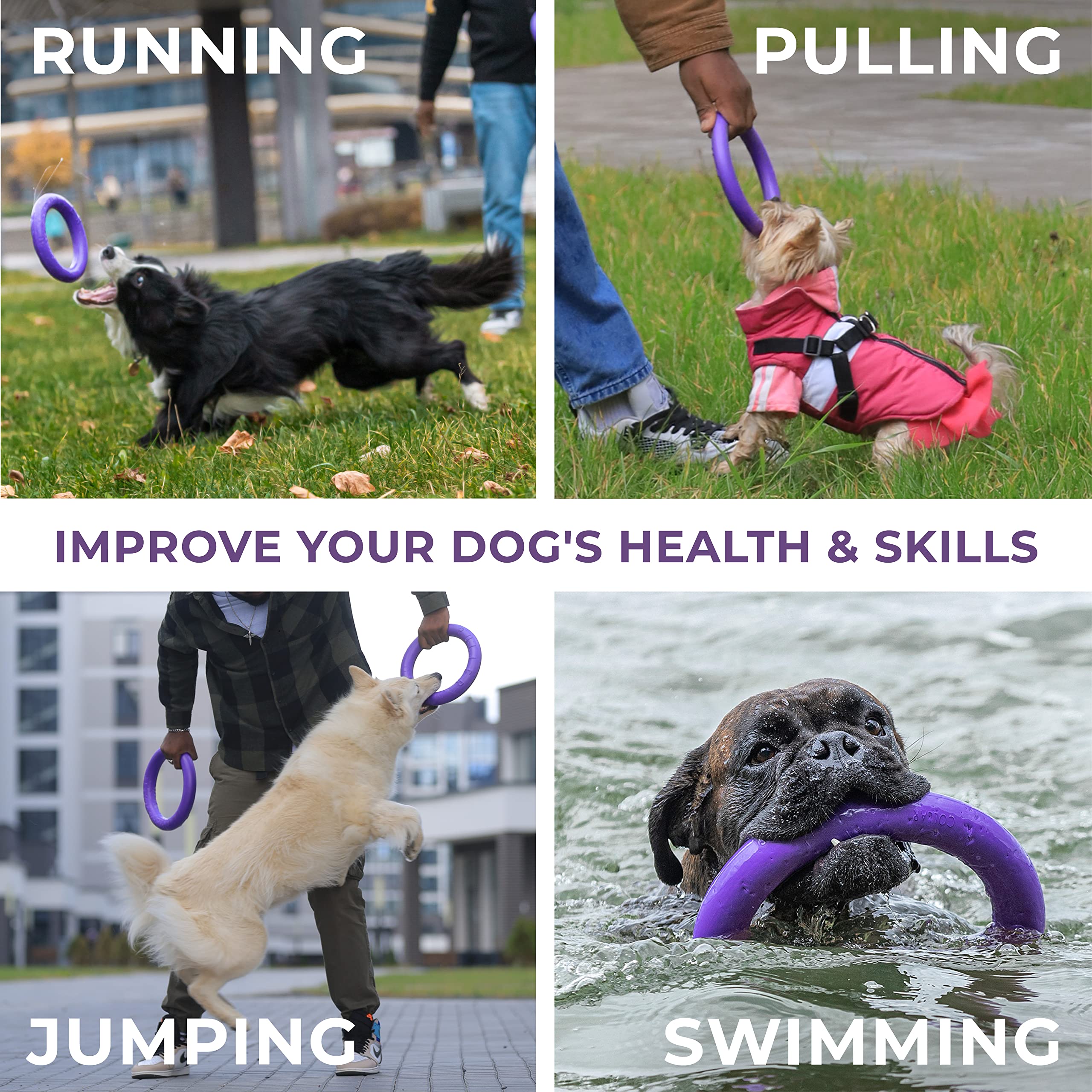 **Durable Outdoor Dog Collar Puller Toy - Interactive Fetch & Tug of War Toy for Small, Medium & Large Dogs - Soft Frisbee & Ball Alternative - Perfect for Backyard Play, Agility Training & Exercise**