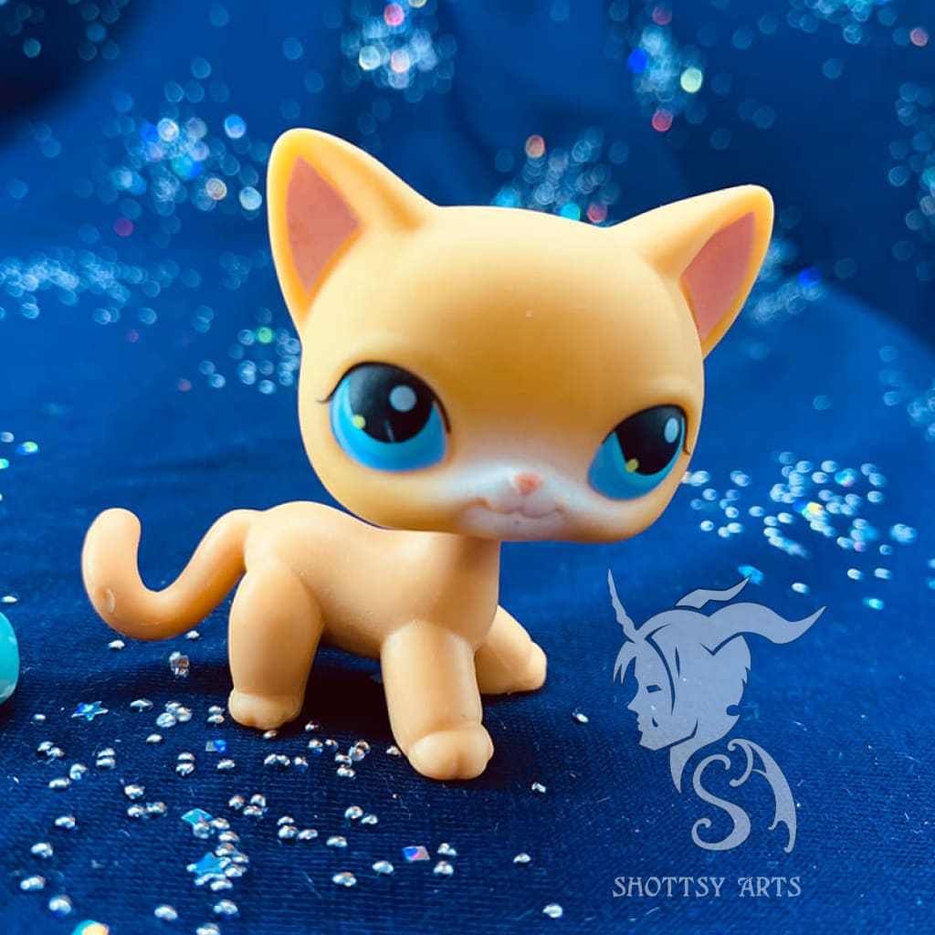 Curious Kitties Interactive Cat Toy Playset - Fun & Engaging Playtime for Indoor Cats - Perfect for Kittens & Adult Cats to Stimulate Hunting Instincts