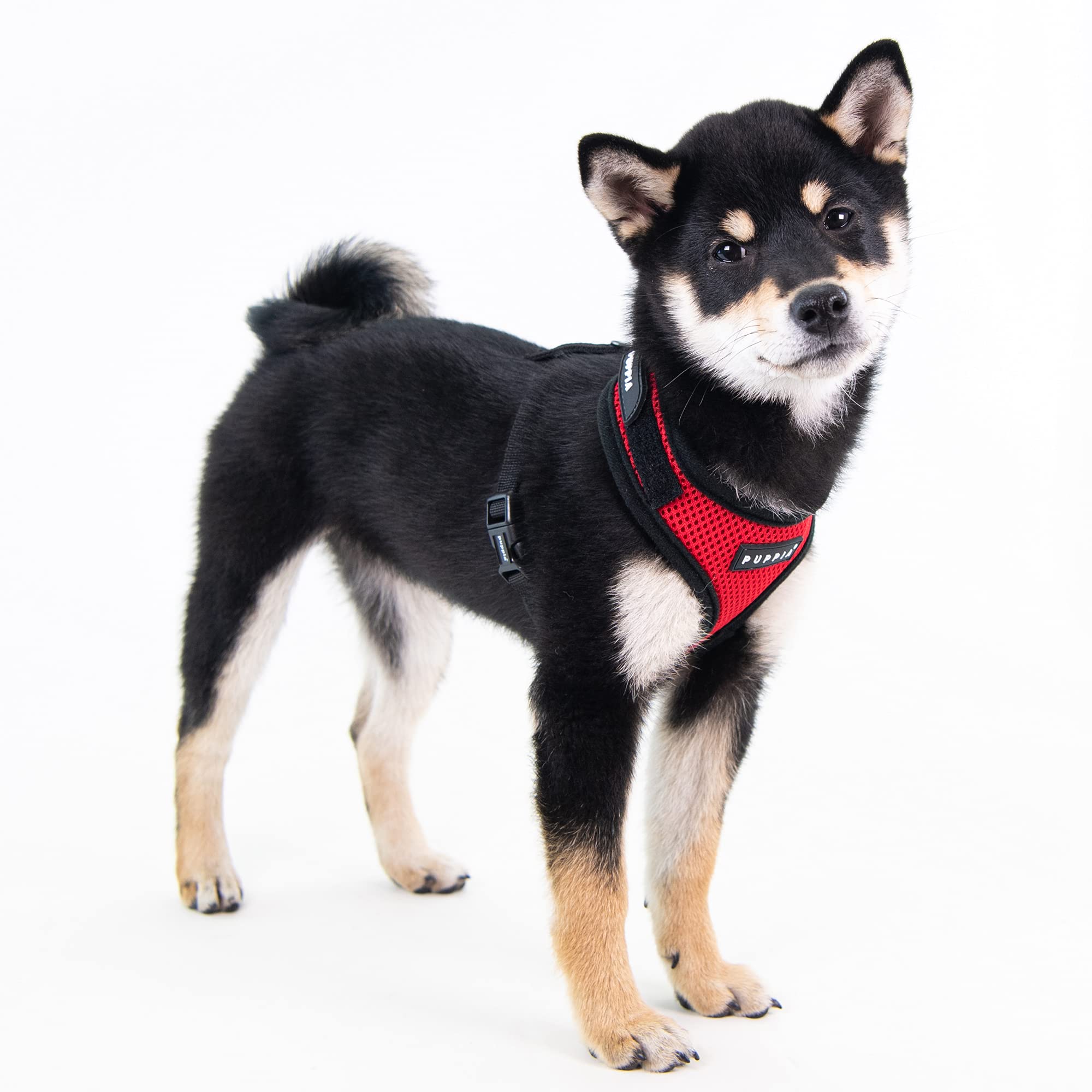 Puppia Soft Superior Dog Harness - Breathable Air Mesh No-Pull No-Choke Adjustable Vest for Small & Medium Dogs - Comfortable Walking & Training - All-Season Use - Red (Size M) - Perfect for Daily Walks, Hiking & Outdoor Adventures