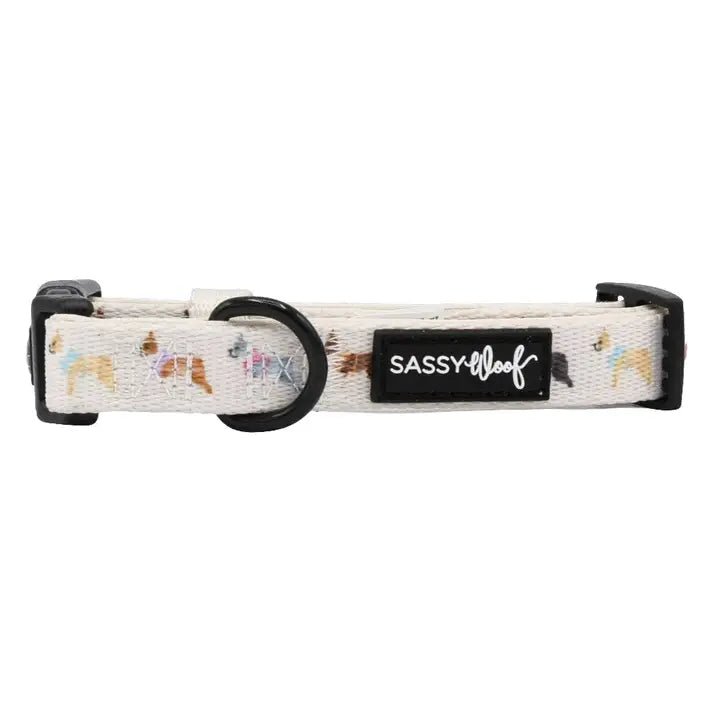 Boston Terrier Dog Collar - Durable & Stylish Pet Collar for Small Dogs - Perfect for Walking, Training & Everyday Use