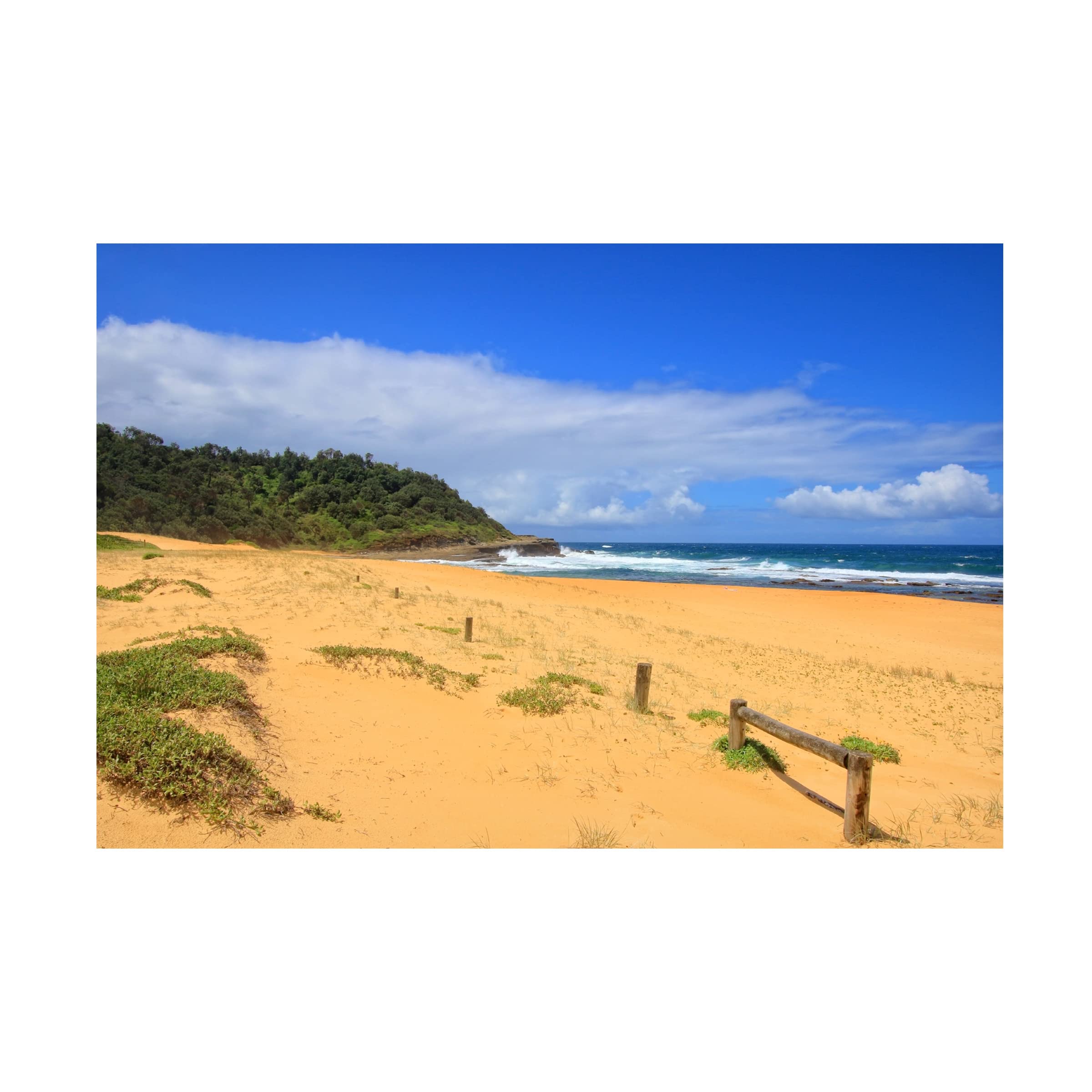 Trademark Fine Art 'Forresters Beach' Canvas Wall Art by Beata Czyzowska Young - Coastal Landscape Painting for Living Room, Bedroom & Office Decor