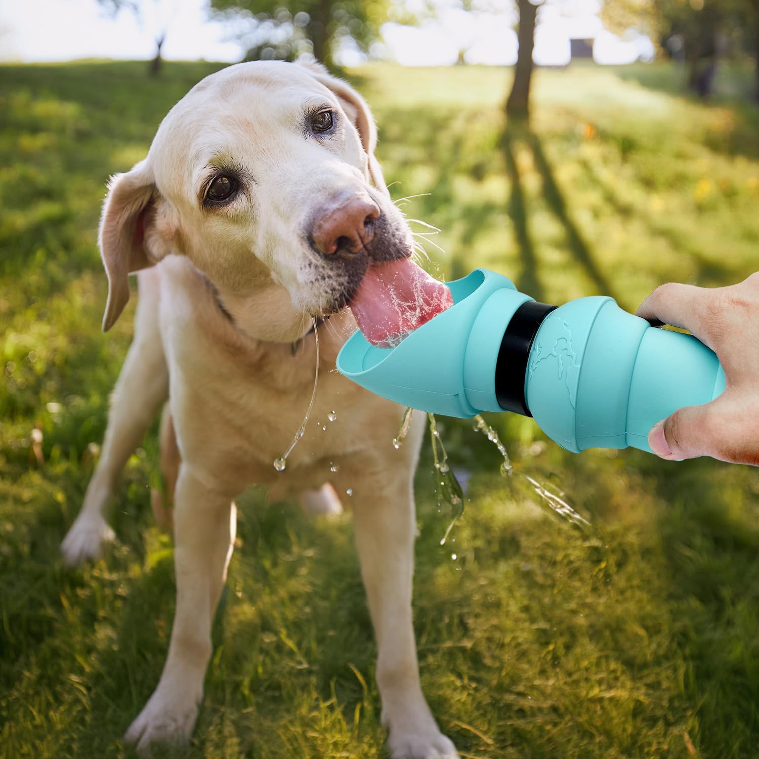 Portable Collapsible Dog Water Bottle - 19oz Leak Proof Travel Water Dispenser for Dogs | Outdoor Walking, Hiking, Camping & Travel Accessories | Tiffany Blue Pet Water Bottle