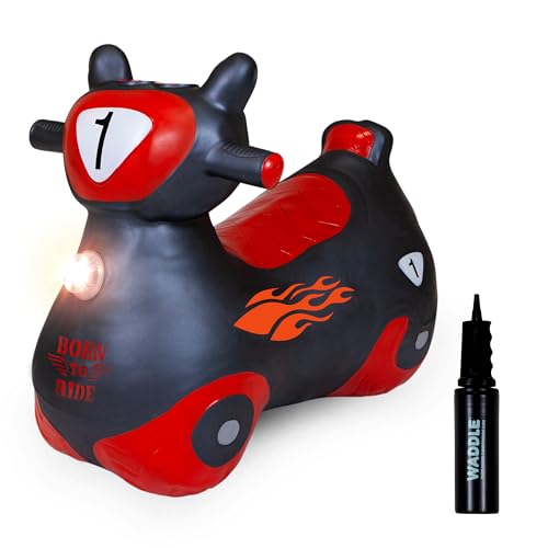 Black/Red Zoomer