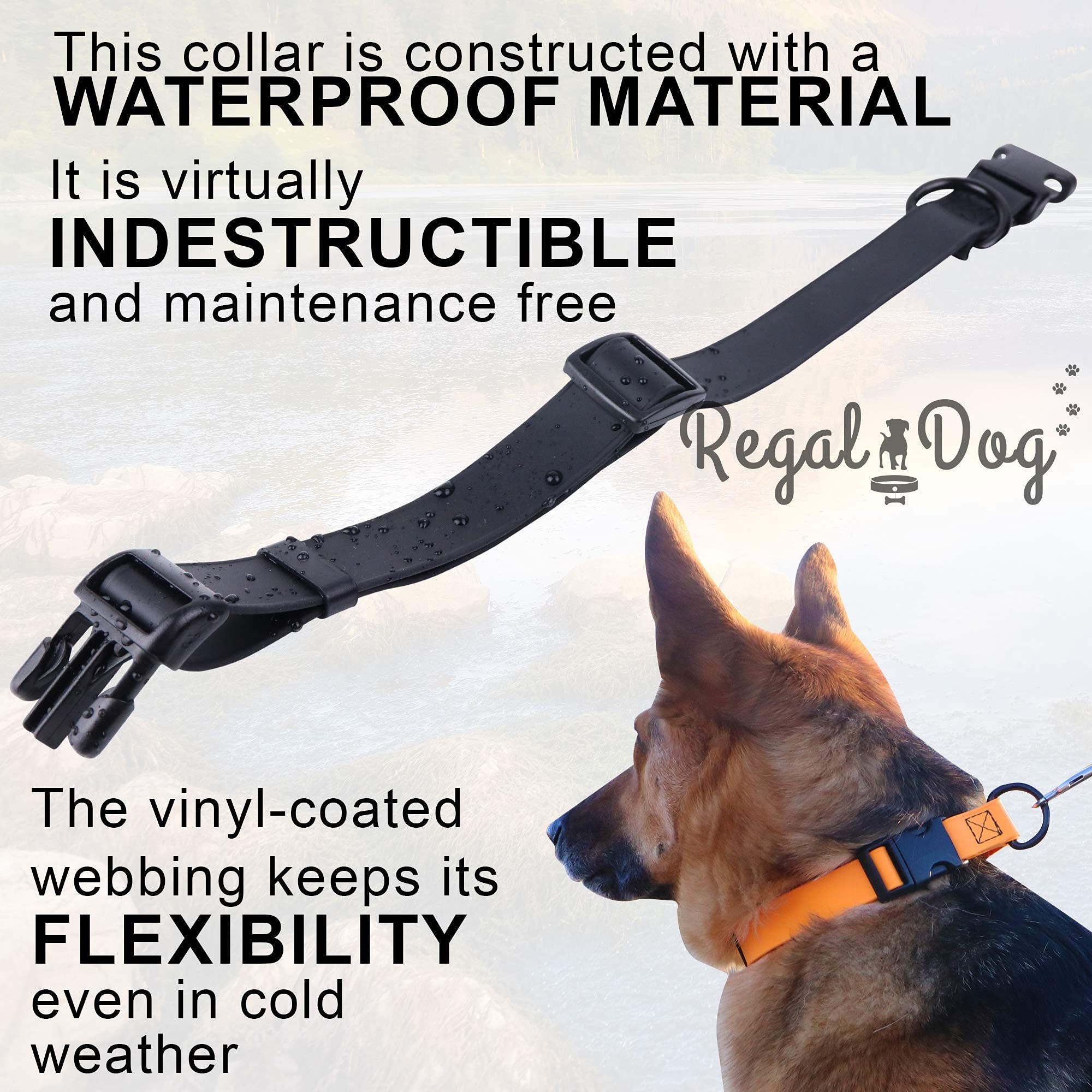 Regal Dog Products Small Teal Waterproof Dog Collar - Adjustable, High Strength Buckle & Heavy Duty Ring - Training Collar for Small Dogs & Puppies - Perfect for Outdoor Adventures, Walks & Water Activities