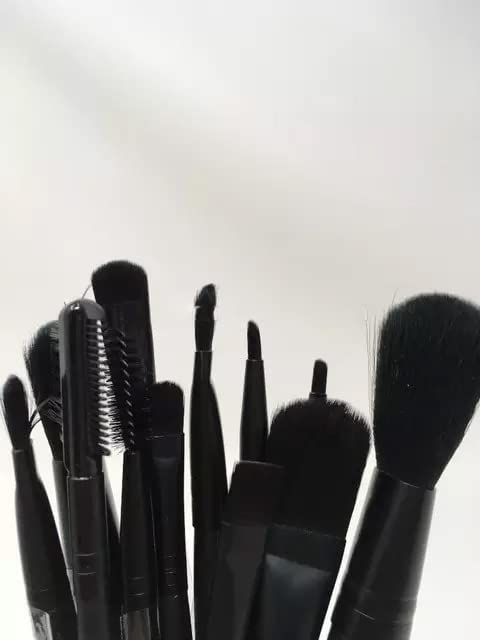 12-Piece Professional Makeup Brush Set with Travel Case - Perfect for Makeup Artists, Beginners & Travel (Foundation, Blending, Eyeshadow, Powder Brushes)