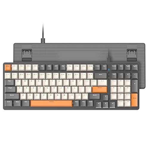 dark gray, blue switch