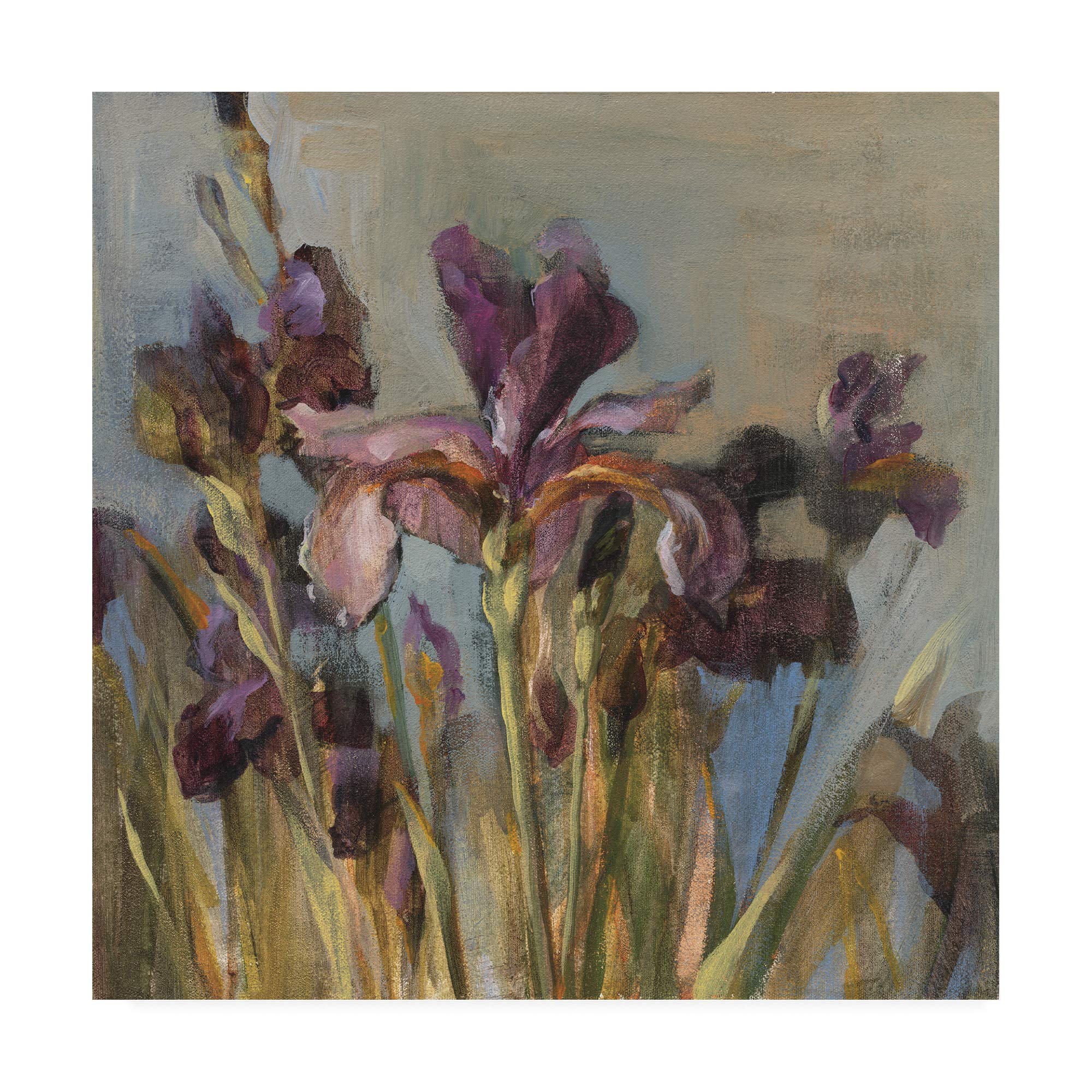 Danhui Nai Spring Iris I Fine Art Print - 18x18 Inch Floral Wall Decor for Living Room, Bedroom & Office