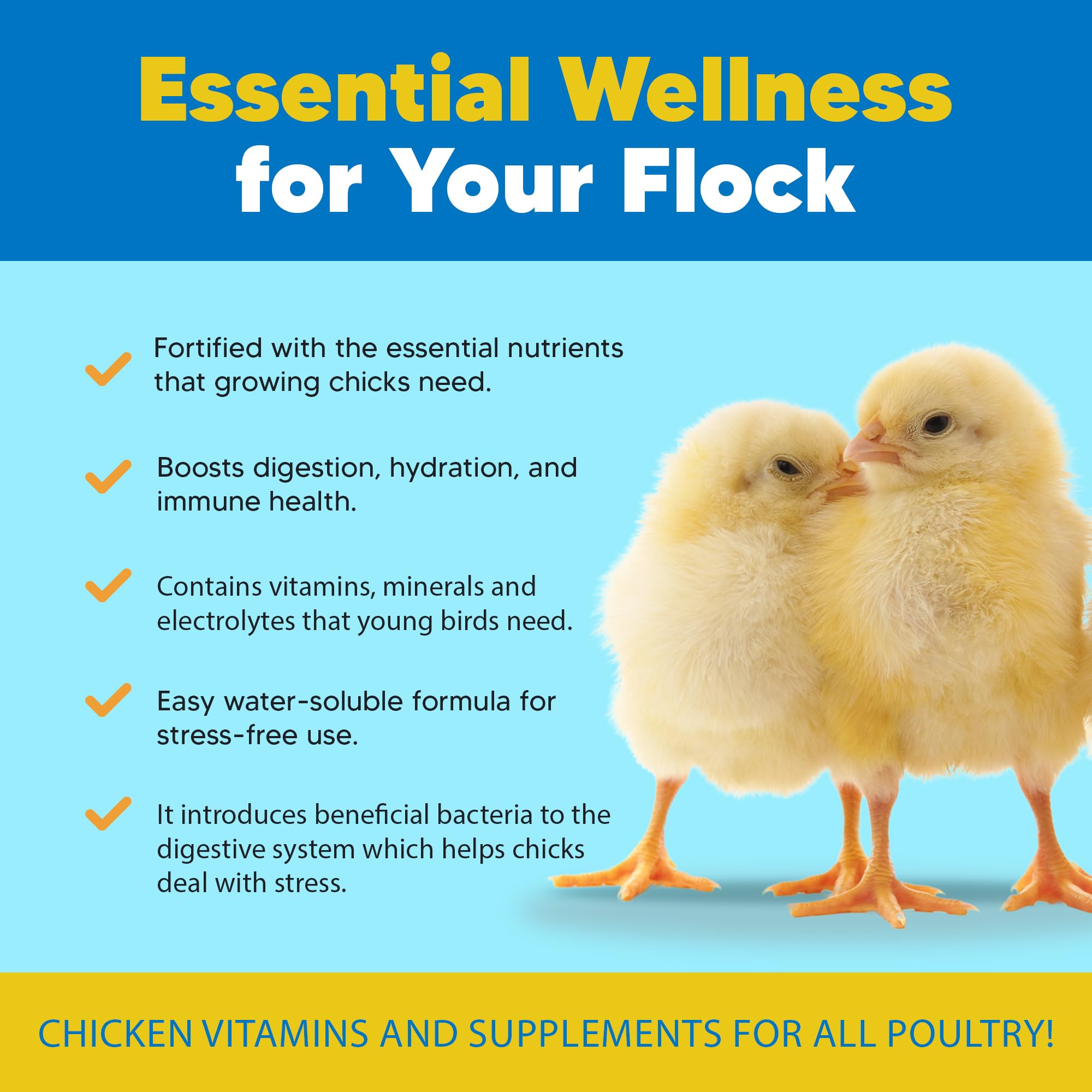 Flock PRO Chick Boost Probiotic for Chickens - Essential Vitamins, Minerals & Electrolytes Supplement | Poultry Health Booster for Strong Immunity & Growth (3Oz) - Perfect for Broilers, Layers & Backyard Flocks