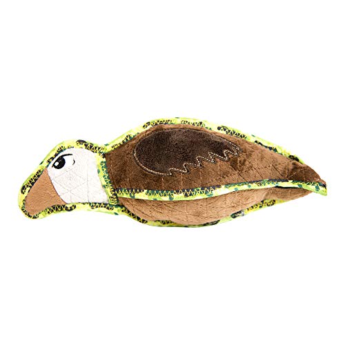 Vulture