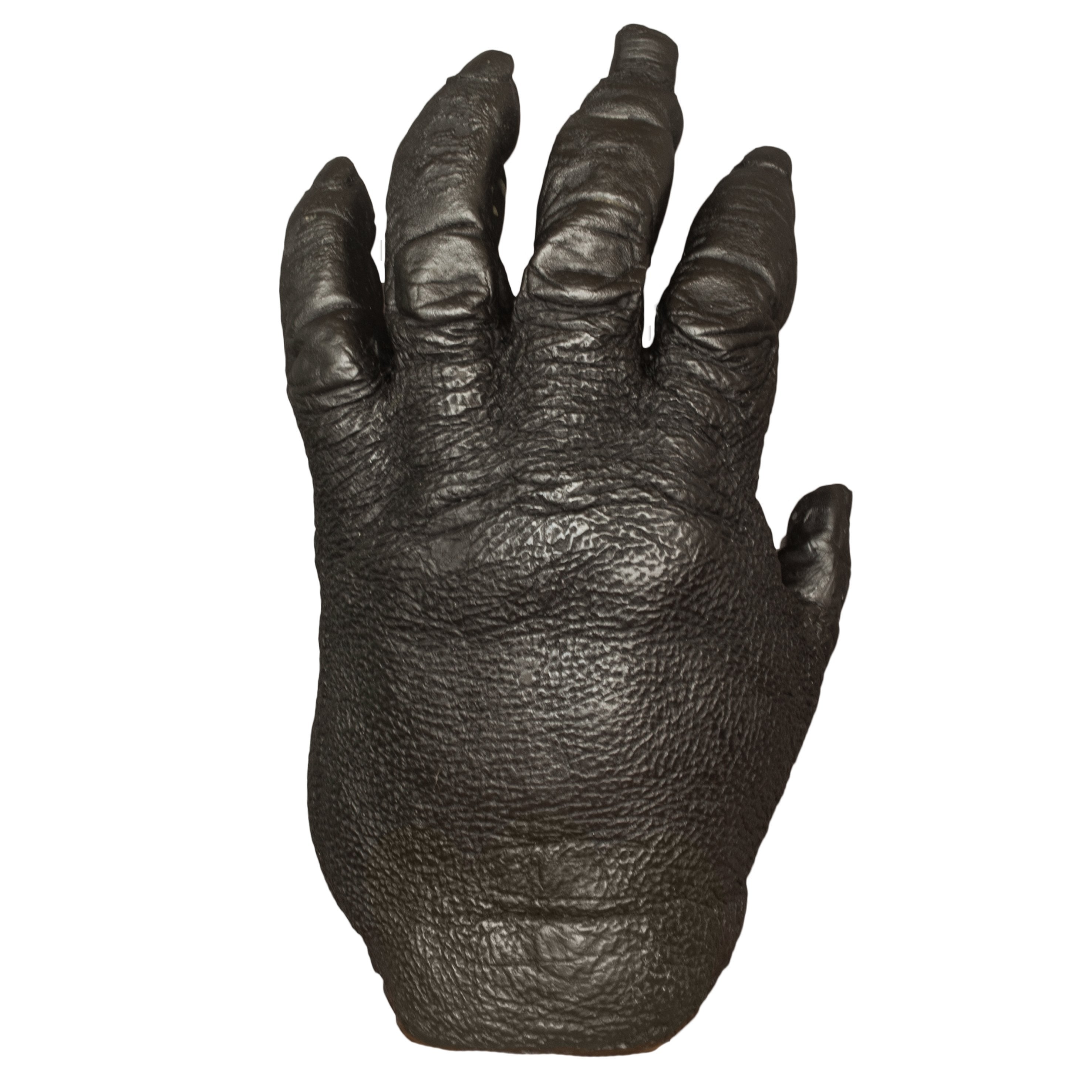 Authentic Replica Lowland Gorilla Left Hand Male - Lifelike Gorilla Hand Model for Educational Displays, Museum Exhibits, and Wildlife Collections